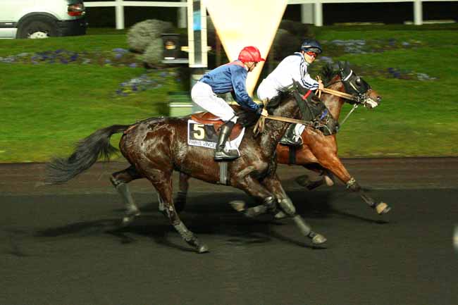 Arrivée quinté pmu PRIX DE MAROLLES à PARIS-VINCENNES