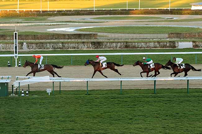 Arrivée quinté pmu PRIX DE LA CHARDENIERE à DEAUVILLE