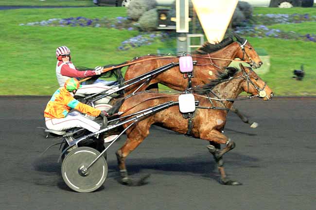 Arrivée quinté pmu PRIX GELINOTTE à PARIS-VINCENNES