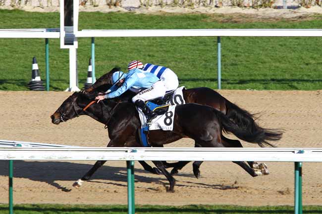 Arrivée quinté pmu PRIX DU MERLERAULT à DEAUVILLE