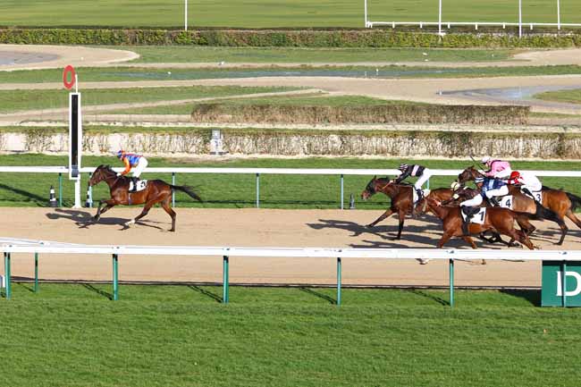 Arrivée quinté pmu PRIX DE LA TETE AU LOUP à DEAUVILLE