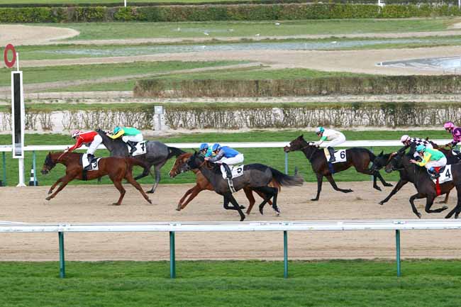Arrivée quinté pmu PRIX DE DOMFRONT à DEAUVILLE