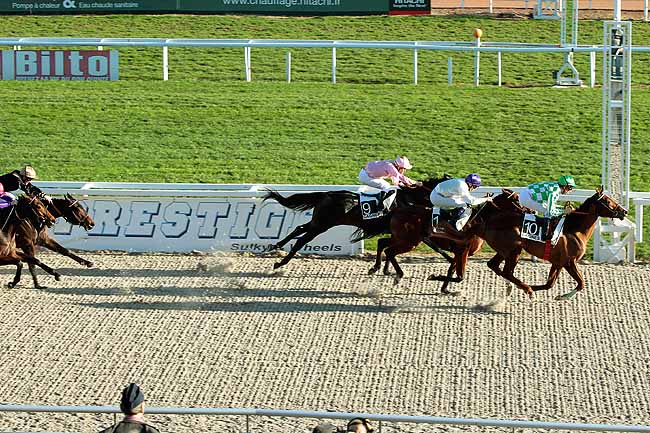 Arrivée quinté pmu PRIX DE FABRON à CAGNES-SUR-MER