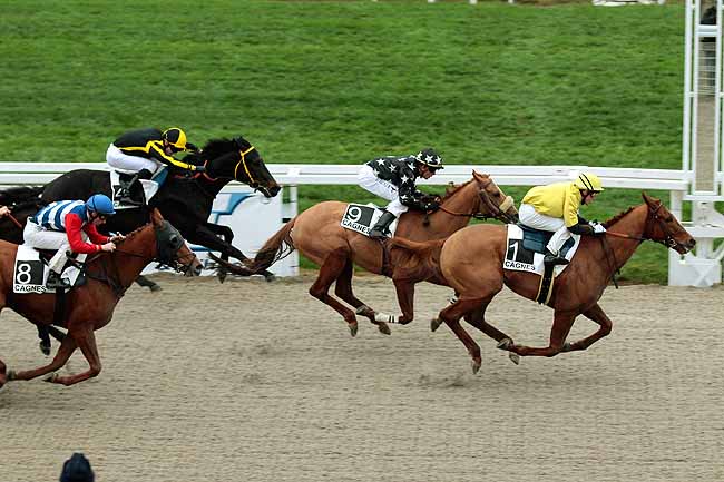Arrivée quinté pmu PRIX DU PETIT JUAS à CAGNES-SUR-MER