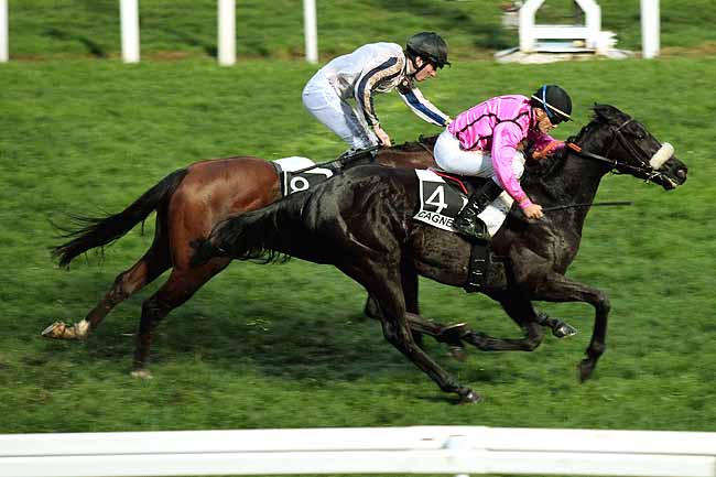 Arrivée quinté pmu PRIX DE LA CROISETTE à CAGNES-SUR-MER