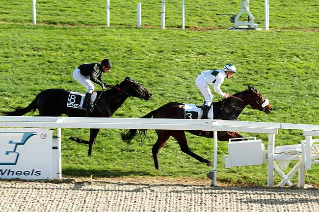 Arrivée quinté pmu PRIX DES COQUELICOTS à CAGNES-SUR-MER