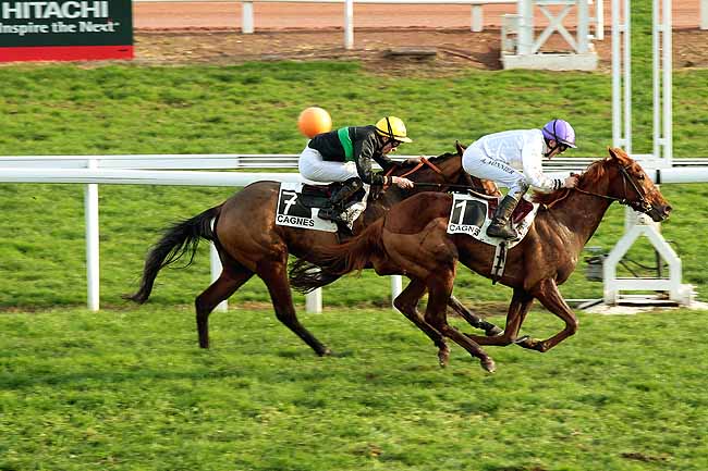 Arrivée quinté pmu PRIX DES BLEUETS à CAGNES-SUR-MER