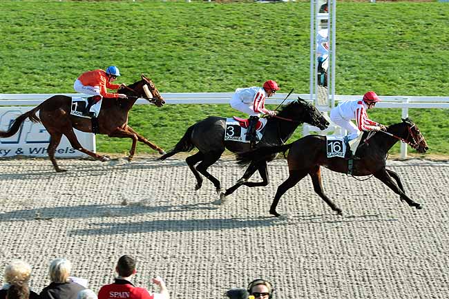 Arrivée quinté pmu PRIX DES ORANGERS à CAGNES-SUR-MER