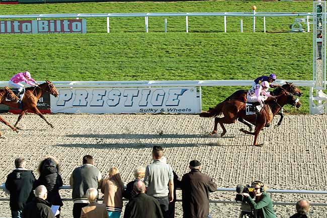 Arrivée quinté pmu PRIX DU ROUSSILLON à CAGNES-SUR-MER