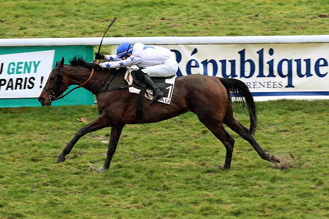 Arrivée quinté pmu PRIX LOUIS LA CAZE à PAU