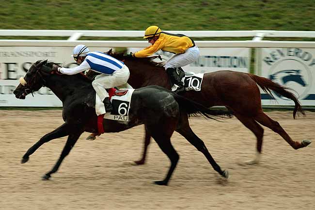 Arrivée quinté pmu PRIX DE LESCUN à PAU
