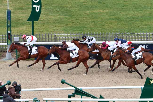 Arrivée quinté pmu PRIX DU CHEMIN DU BAC à CHANTILLY