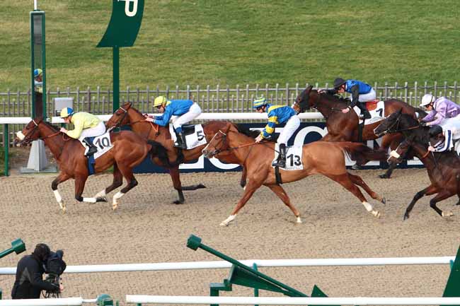 Arrivée quinté pmu PRIX DE LA PLAINE à CHANTILLY