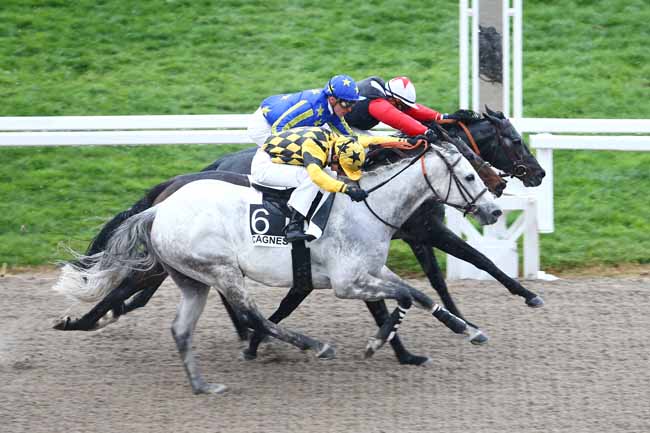 Arrivée quinté pmu PRIX DE GRASSE à CAGNES-SUR-MER