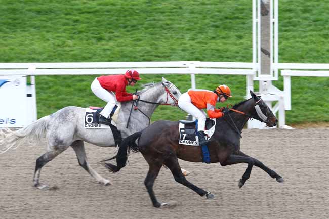 Arrivée quinté pmu PRIX DES HORTENSIAS à CAGNES-SUR-MER