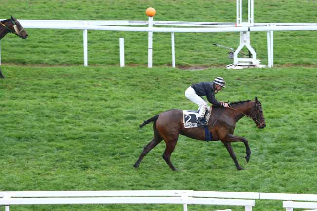 Arrivée quinté pmu PRIX DE CIMIEZ à CAGNES-SUR-MER