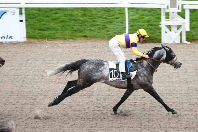 Arrivée quinté pmu PRIX DE MORGIOU à CAGNES-SUR-MER