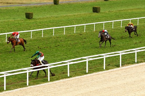Arrivée quinté pmu PRIX ANNIE HUTTON (PRIX ALLIANZ - AGENCE OLIVIER OURNAC) à PAU