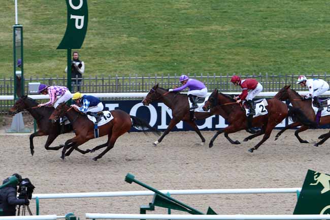 Arrivée quinté pmu PRIX DE L'ALLEE DE LA PETITE HAIE à CHANTILLY