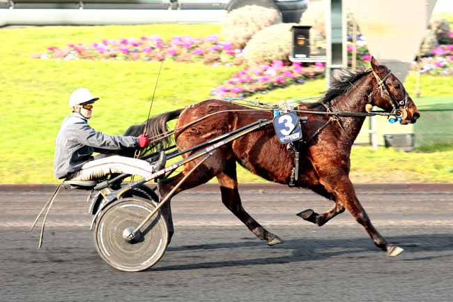 Arrivée quinté pmu PRIX DE LA GIRONDE à PARIS-VINCENNES