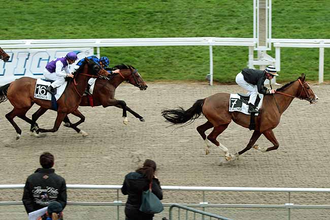 Arrivée quinté pmu PRIX DE LA NAPOULE à CAGNES-SUR-MER