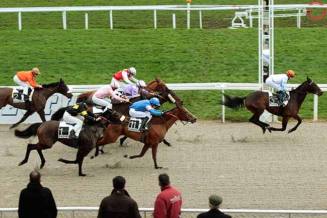 Arrivée quinté pmu PRIX DU LAVANDOU à CAGNES-SUR-MER