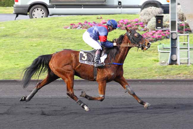 Arrivée quinté pmu PRIX DE DOUVRES à PARIS-VINCENNES