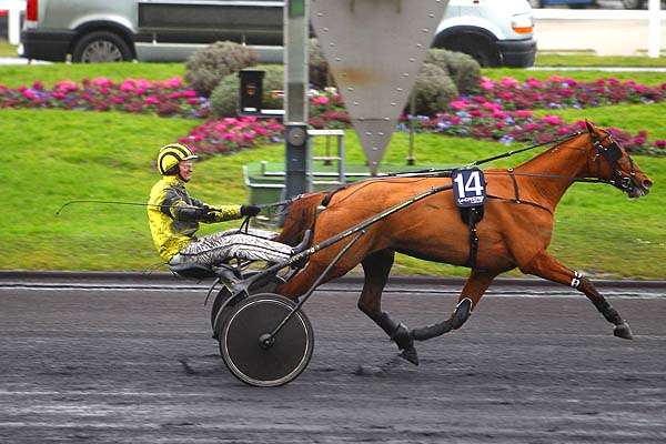 Arrivée quinté pmu PRIX JEAN LE GONIDEC à PARIS-VINCENNES