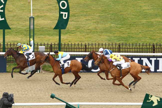 Arrivée quinté pmu PRIX DE LA ROUTE DES SUISSES à CHANTILLY