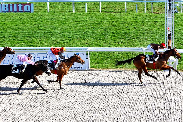 Arrivée quinté pmu PRIX DES GLYCINES à CAGNES-SUR-MER