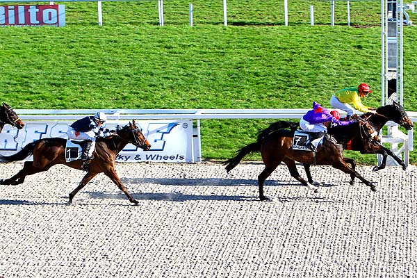 Arrivée quinté pmu PRIX DES CHEVREFEUILLES à CAGNES-SUR-MER