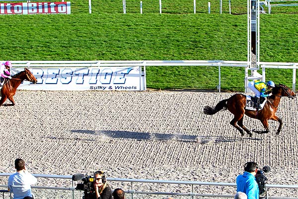 Arrivée quinté pmu PRIX DES SPIREES à CAGNES-SUR-MER