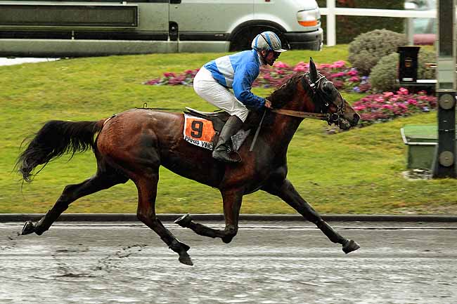 Arrivée quinté pmu PRIX HOLLY DU LOCTON à PARIS-VINCENNES