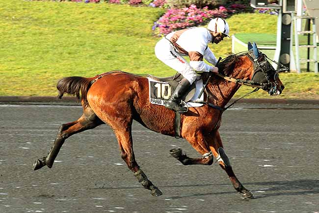 Arrivée quinté pmu PRIX EDOUARD MARCILLAC à PARIS-VINCENNES