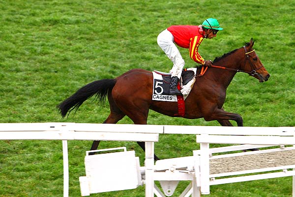 Arrivée quinté pmu PRIX DU FORT CARRE à CAGNES-SUR-MER