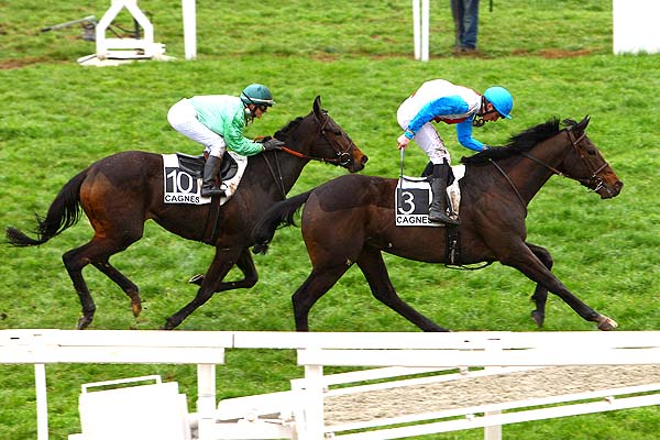 Arrivée quinté pmu PRIX DE LA FONTONNE à CAGNES-SUR-MER