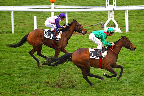 Arrivée quinté pmu PRIX DU FORT VAUBAN à CAGNES-SUR-MER