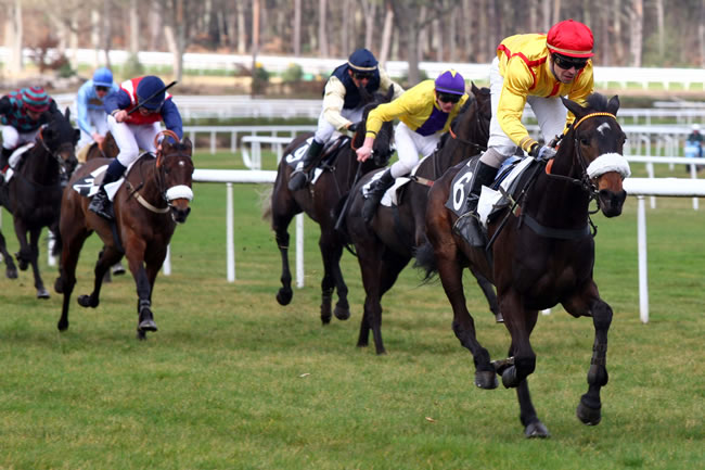 Arrivée quinté pmu PRIX DE MONTIGNY-SUR-LOING à FONTAINEBLEAU
