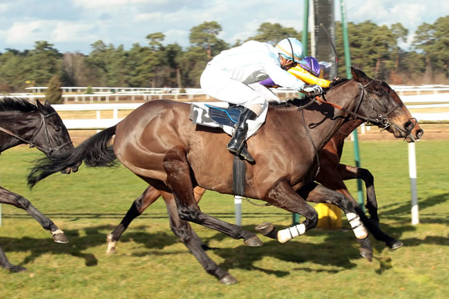 Arrivée quinté pmu PRIX DE LA COMMUNAUTE DE COMMUNES FONTAINEBLEAU-AVON à FONTAINEBLEAU