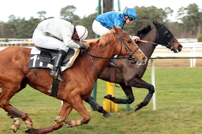 Arrivée quinté pmu PRIX MAURICE GILLOIS à FONTAINEBLEAU
