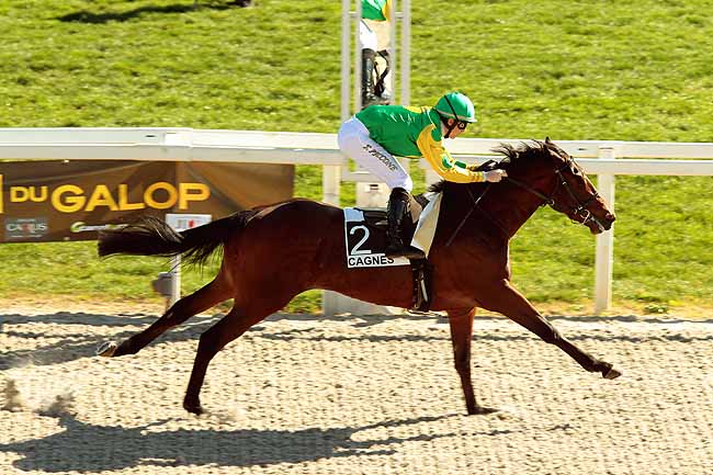 Arrivée quinté pmu PRIX DES ALPILLES à CAGNES-SUR-MER