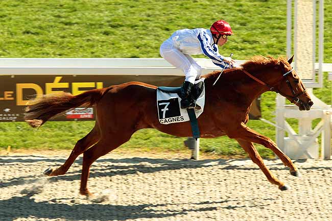 Arrivée quinté pmu PRIX POLICEMAN à CAGNES-SUR-MER