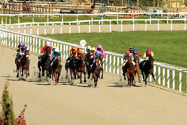 Arrivée quinté pmu PRIX JACQUES GELIOT à CAGNES-SUR-MER