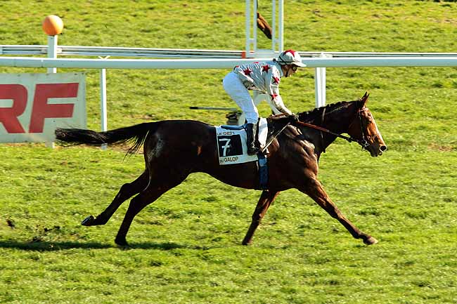 Arrivée quinté pmu GRAND PRIX DU CONSEIL GENERAL DES ALPES MARITIMES à CAGNES-SUR-MER
