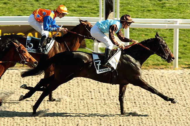 Arrivée quinté pmu PRIX JACQUES BOUCHARA à CAGNES-SUR-MER