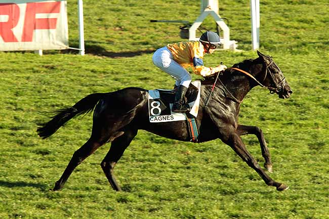 Arrivée quinté pmu PRIX DU LAUTARET à CAGNES-SUR-MER