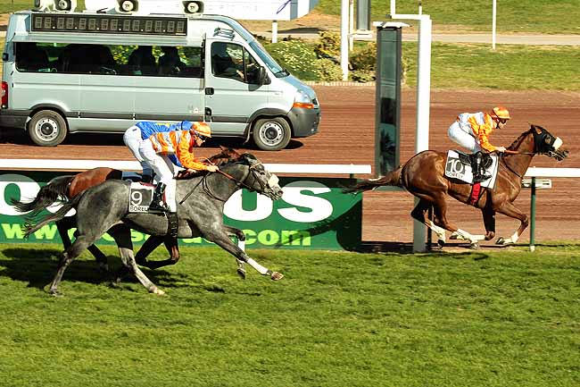 Arrivée quinté pmu PRIX DE CARRO à MARSEILLE-BORELY