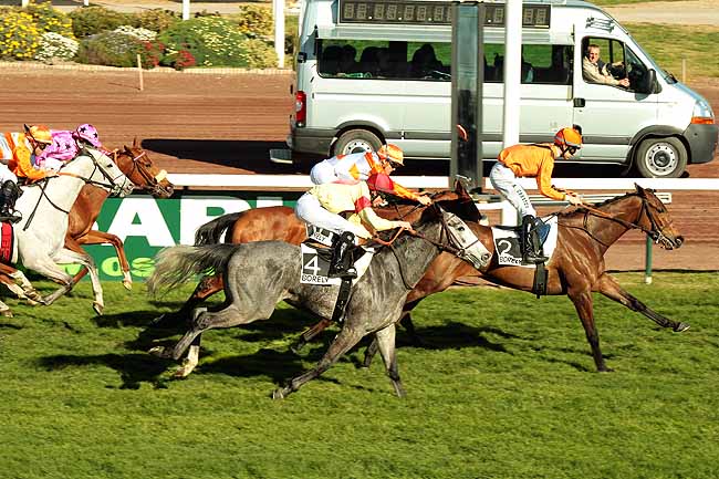 Arrivée quinté pmu PRIX DE CARRY à MARSEILLE-BORELY