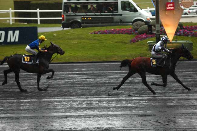 Arrivée quinté pmu PRIX FELICIEN GAUVREAU à PARIS-VINCENNES