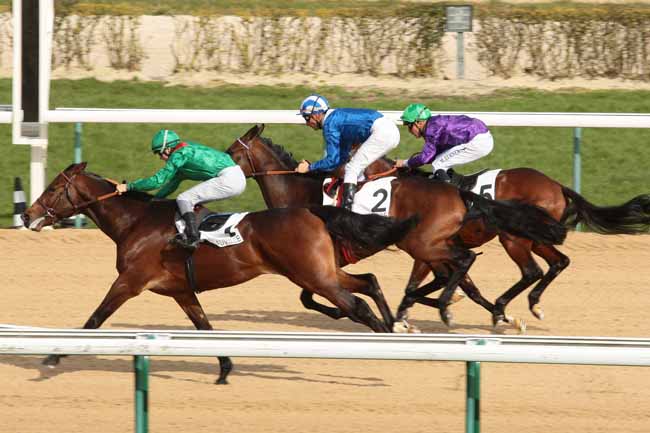 Arrivée quinté pmu PRIX D'AURIGNY à DEAUVILLE